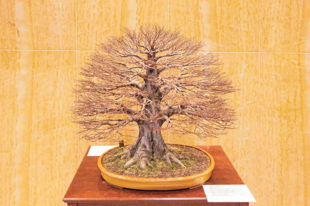 FANUC’s corporate symbol, the “Zelkova”