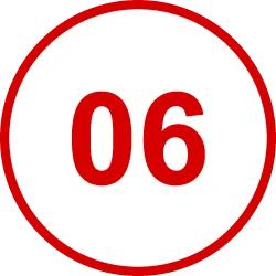 06
