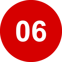06