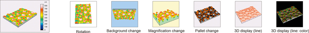 Freely selectable display color, viewpoint, magnification scale, light direction, etc.