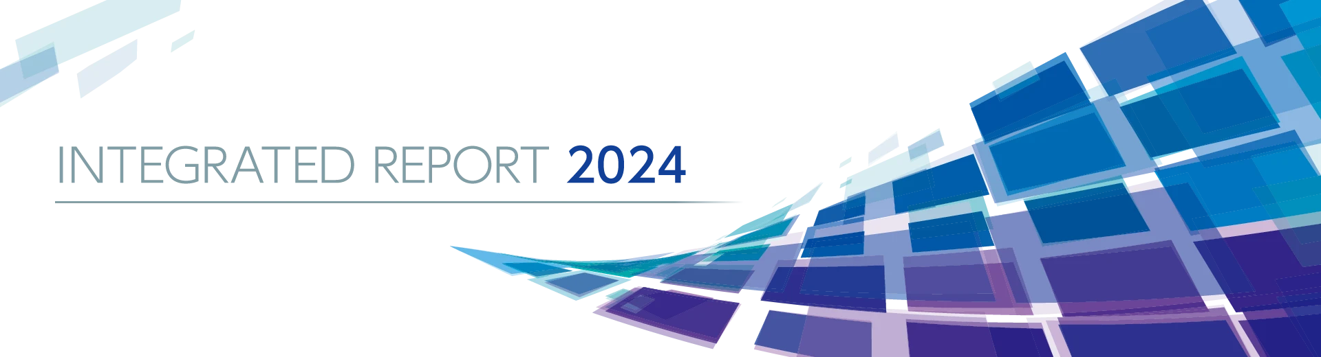 integrated report 2024