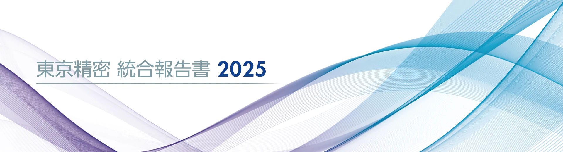 統合報告書 2025