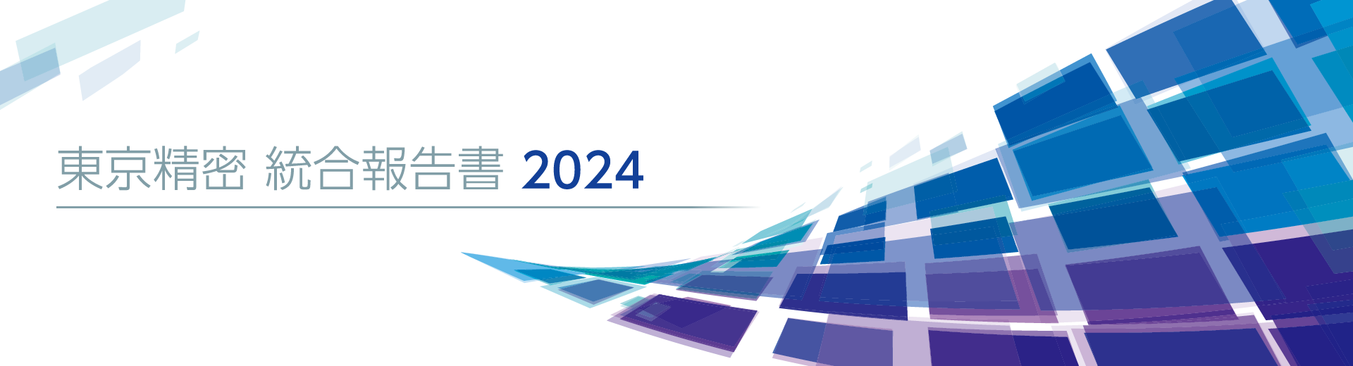 統合報告書 2024